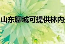 山東聊城可提供林內(nèi)壁掛爐維修服務(wù)地址在哪