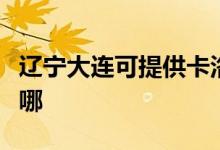 遼寧大連可提供卡洛力壁掛爐維修服務(wù)地址在哪