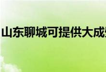 山東聊城可提供大成壁掛爐維修服務(wù)地址在哪