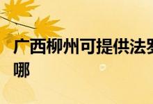 廣西柳州可提供法羅力壁掛爐維修服務(wù)地址在哪
