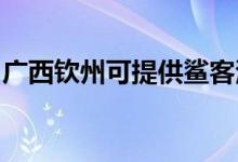 廣西欽州可提供鯊客清潔機維修服務地址在哪