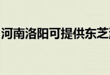 河南洛陽可提供東芝洗碗機維修服務地址在哪