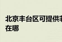 北京豐臺(tái)區(qū)可提供菲斯曼壁掛爐維修服務(wù)地址在哪