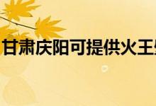 甘肅慶陽(yáng)可提供火王壁掛爐維修服務(wù)地址在哪