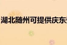 湖北隨州可提供慶東壁掛爐維修服務(wù)地址在哪