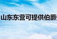 山東東營(yíng)可提供伯爵壁掛爐維修服務(wù)地址在哪