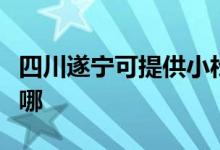 四川遂寧可提供小松鼠壁掛爐維修服務(wù)地址在哪