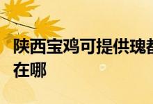 陜西寶雞可提供瑰都啦咪壁掛爐維修服務(wù)地址在哪