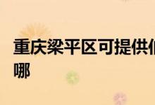 重慶梁平區(qū)可提供伯爵壁掛爐維修服務(wù)地址在哪