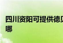 四川資陽可提供德貝得壁掛爐維修服務(wù)地址在哪