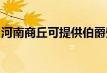 河南商丘可提供伯爵壁掛爐維修服務(wù)地址在哪