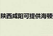 陜西咸陽可提供海頓壁掛爐維修服務(wù)地址在哪