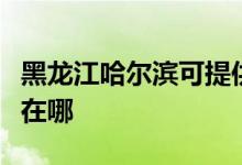 黑龍江哈爾濱可提供依瑪壁掛爐維修服務(wù)地址在哪