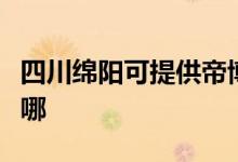 四川綿陽可提供帝博仕壁掛爐維修服務(wù)地址在哪