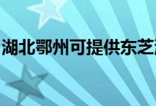 湖北鄂州可提供東芝洗碗機維修服務地址在哪