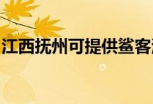 江西撫州可提供鯊客清潔機維修服務地址在哪