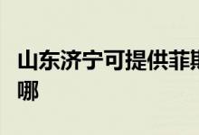 山東濟(jì)寧可提供菲斯曼壁掛爐維修服務(wù)地址在哪