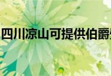 四川涼山可提供伯爵壁掛爐維修服務(wù)地址在哪
