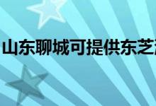 山東聊城可提供東芝洗碗機維修服務地址在哪
