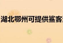 湖北鄂州可提供鯊客清潔機維修服務地址在哪