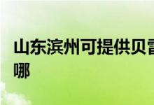 山東濱州可提供貝雷塔壁掛爐維修服務地址在哪