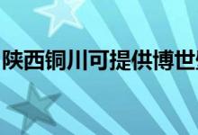 陜西銅川可提供博世壁掛爐維修服務(wù)地址在哪