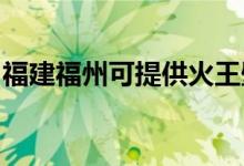 福建福州可提供火王壁掛爐維修服務(wù)地址在哪
