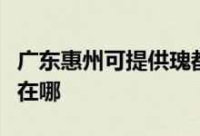 廣東惠州可提供瑰都啦咪壁掛爐維修服務(wù)地址在哪