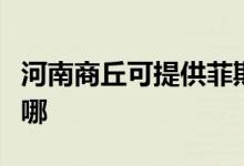 河南商丘可提供菲斯曼壁掛爐維修服務(wù)地址在哪