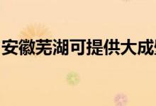 安徽蕪湖可提供大成壁掛爐維修服務(wù)地址在哪