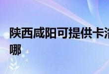 陜西咸陽可提供卡洛力壁掛爐維修服務(wù)地址在哪