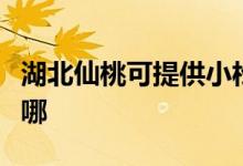 湖北仙桃可提供小松鼠壁掛爐維修服務(wù)地址在哪