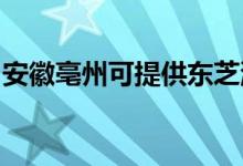 安徽亳州可提供東芝洗碗機(jī)維修服務(wù)地址在哪