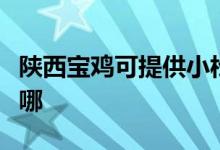 陜西寶雞可提供小松鼠壁掛爐維修服務(wù)地址在哪