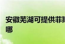 安徽蕪湖可提供菲斯曼壁掛爐維修服務(wù)地址在哪