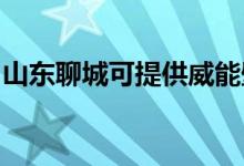 山東聊城可提供威能壁掛爐維修服務(wù)地址在哪