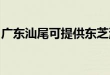 廣東汕尾可提供東芝洗碗機維修服務地址在哪
