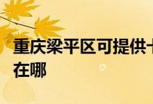 重慶梁平區(qū)可提供卡洛力壁掛爐維修服務(wù)地址在哪