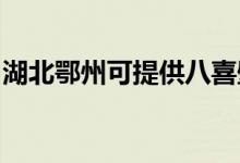 湖北鄂州可提供八喜壁掛爐維修服務(wù)地址在哪