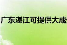 廣東湛江可提供大成壁掛爐維修服務(wù)地址在哪