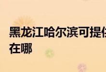 黑龍江哈爾濱可提供火王壁掛爐維修服務(wù)地址在哪