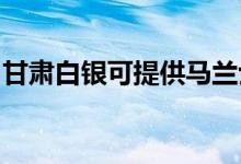甘肅白銀可提供馬蘭士音響維修服務(wù)地址在哪