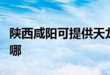 陜西咸陽可提供天龍家庭影院維修服務(wù)地址在哪