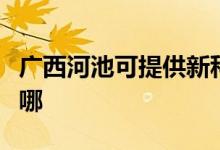 廣西河池可提供新科家庭影院維修服務(wù)地址在哪