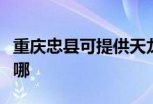 重慶忠縣可提供天龍家庭影院維修服務(wù)地址在哪
