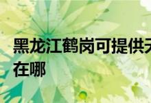 黑龍江鶴崗可提供天龍家庭影院維修服務(wù)地址在哪