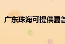 廣東珠?？商峁┫钠找繇懢S修服務(wù)地址在哪