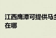 江西鷹潭可提供馬蘭士家庭影院維修服務地址在哪