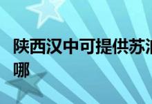 陜西漢中可提供蘇泊爾吸塵器維修服務地址在哪