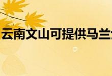 云南文山可提供馬蘭士音響維修服務(wù)地址在哪